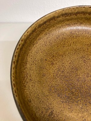 Saxbo skål