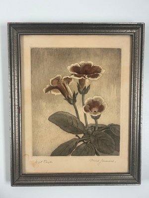 Par raderinger af Oluf Jensen motiver af blomster botanik flora 1926