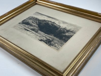 Radering af Carl Block 1883 i smuk guldramme.