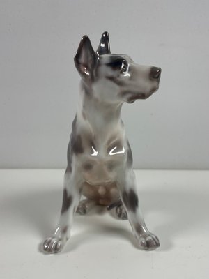 Dahl Jensen hund nr. 1178