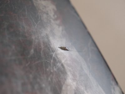 Rundt Marmor spisebord