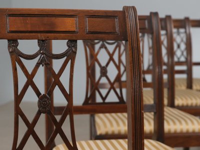 12 stk. elegante Hepplewhite spisestuestole