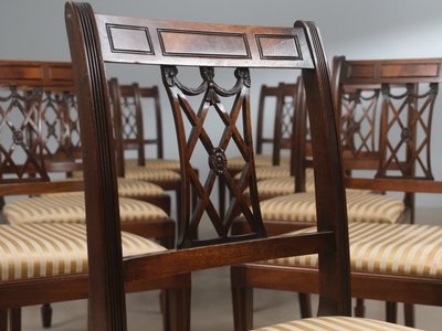 12 stk. elegante Hepplewhite spisestuestole