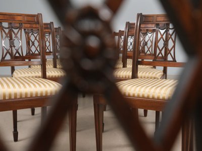 12 stk. elegante Hepplewhite spisestuestole