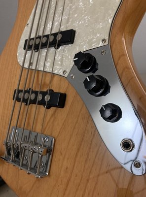 Revelation RBJ-67 DLX 5-String Bass med Entwistle Pickups