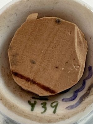 Royal Copenhagen salt og peber sæt nr. 439