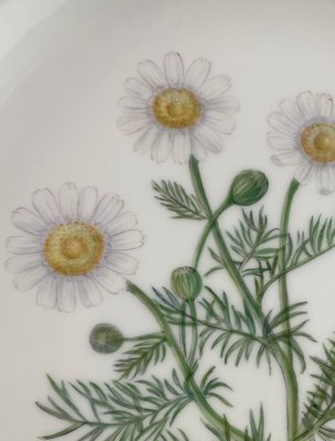 Flora Danica tallerken blomster motiv