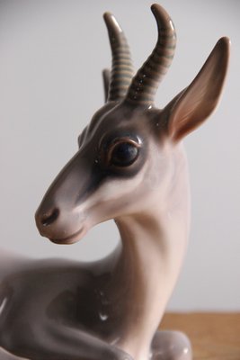 Dahl Jensen gazelle nr. 1237