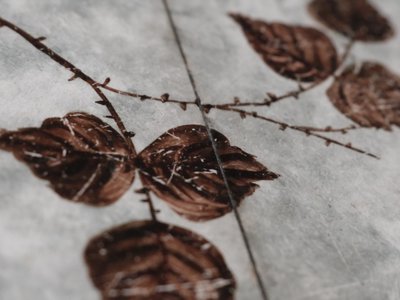 Unikt vintage kakelbord med botanisk motiv